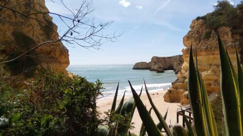 Albufeira Prime Apartment