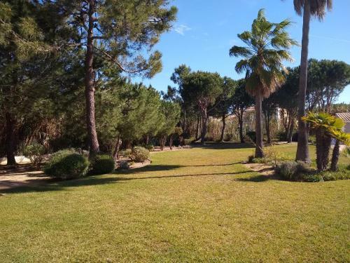 Yara Beach Apartments - Albufeira