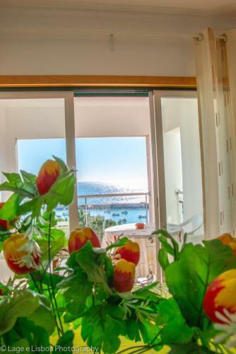 Apartamento Apt Baleeira Sol