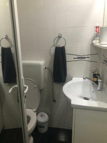 Apartamento Garsoniera Aleea Trandafirilor