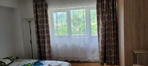 Apartamento Garsoniera Deea B?ile Herculane