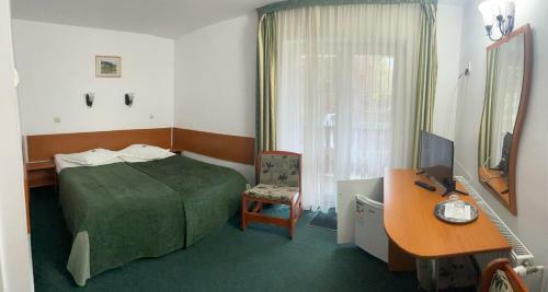 Bed & Breakfast Pensiunea Olt Centrum/ Olt Centrum Panzi�
