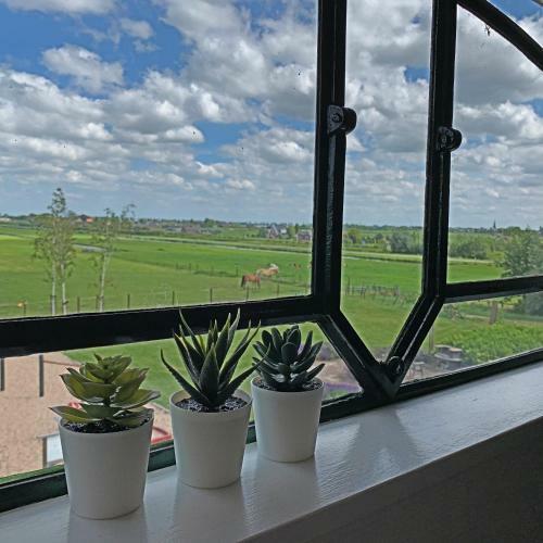 Apartamento Christinahoeve Hooiberg #6