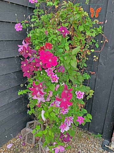 Apartamento Christinahoeve Hooiberg #6