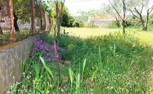 Karla's Holiday Home