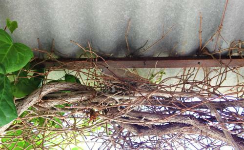 Karla's Holiday Home