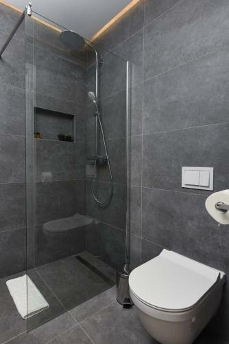 Beautiful Villa Dante Debeljak