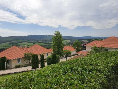 River Lux Apartman Dunaszentmikl�s