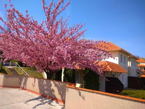 River Lux Apartman Dunaszentmikl�s