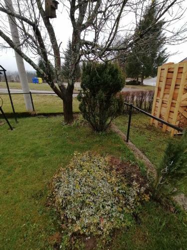 Apartman Ris Gorski Kotar Crni Lug