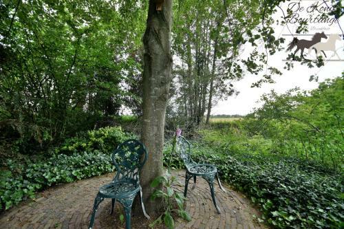 B&B De Konik Bourtange