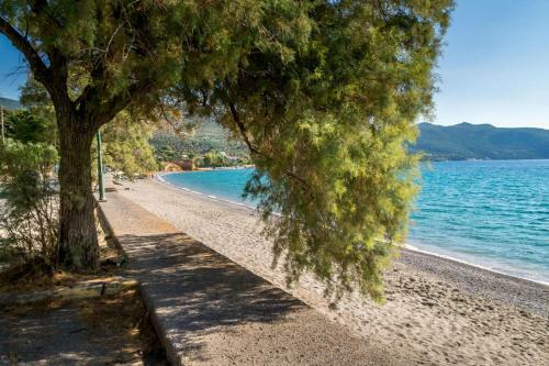 Orea Elena Seaview Villa
