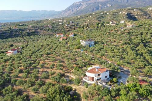 Orea Elena Seaview Villa