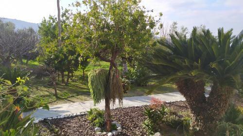 Orea Elena Seaview Villa