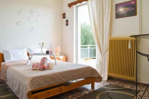 Apartamento Seaside Family Haven - Avia's Spacious Getaway