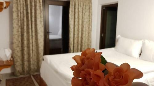 Hostal Pensiunea Turistica Valea Mierii