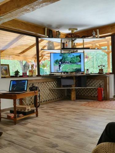 Hostal Pensiunea Turistica Valea Mierii