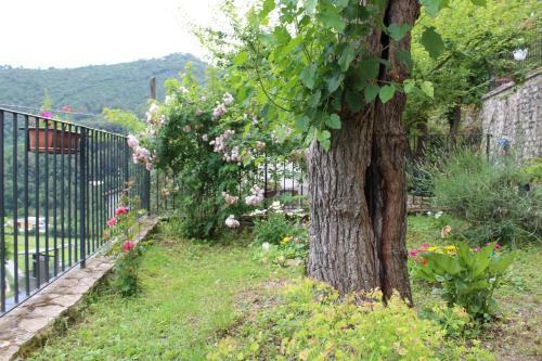 Apartamento Il Castello Sul Lago