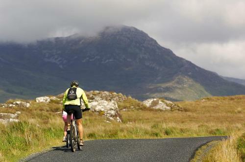 Apartment 395 - Clifden