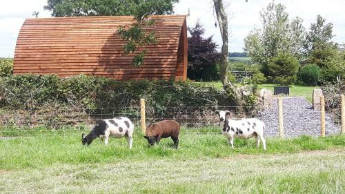 Larkworthy Farm Glamping Holiday Cabins