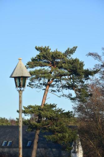 Hostal Guest House Gero V?jo Namai