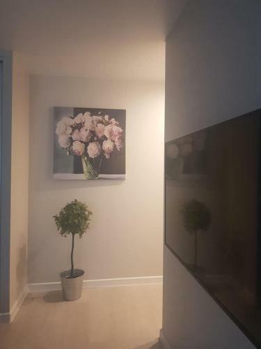Daukanto Apartment For You