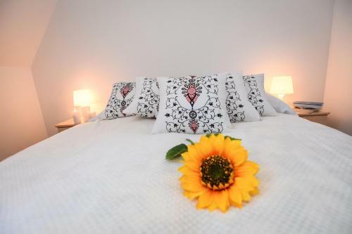 Apartament Za Rzek?