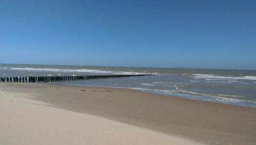 Park Schoneveld, Zeester 64