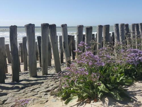 Pleasant Apartment On The Zeeland Coast With Terrace