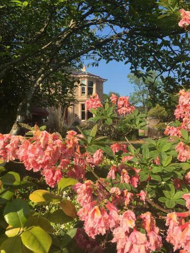 Bed & Breakfast Moorlands