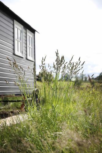 Bed & Breakfast Westfield House Farm