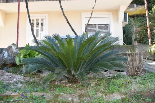 Apartamento Old Town Studios