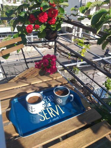 Kiwi Apartments Budva