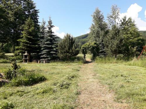 Apartament 59 , Ranczoturystyka Bielawa