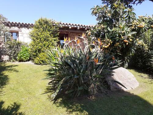 Apartamento Stazzzu Solianu