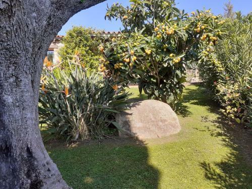 Apartamento Stazzzu Solianu