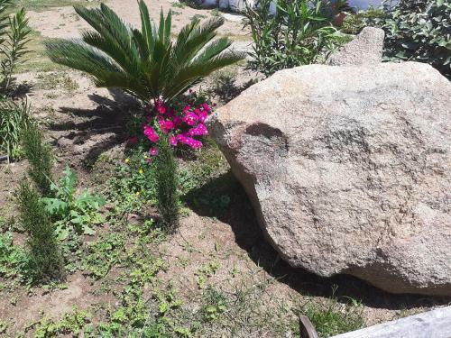 Apartamento Stazzzu Solianu