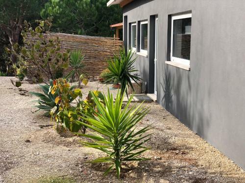Agroturismo Quinta Do Meco - Beach & Nature