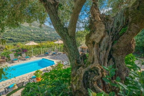 Private Villa Close To Famous Myrtos Beach With Private Boat!