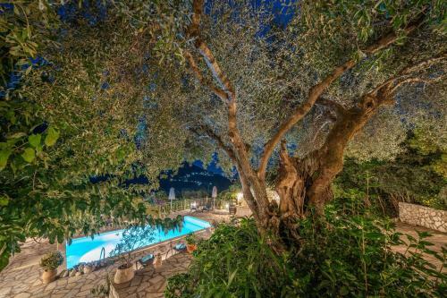 Private Villa Close To Famous Myrtos Beach With Private Boat!