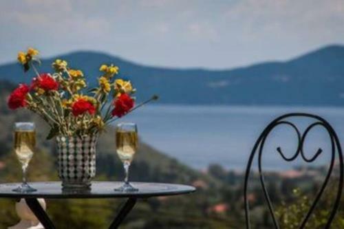 Private Villa Close To Famous Myrtos Beach With Private Boat!