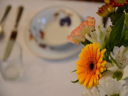 Powis House B&B