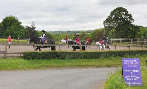 Wellsfield Farm Holiday Lodges
