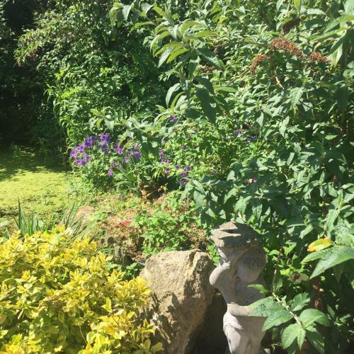 Bed & Breakfast Watergardens