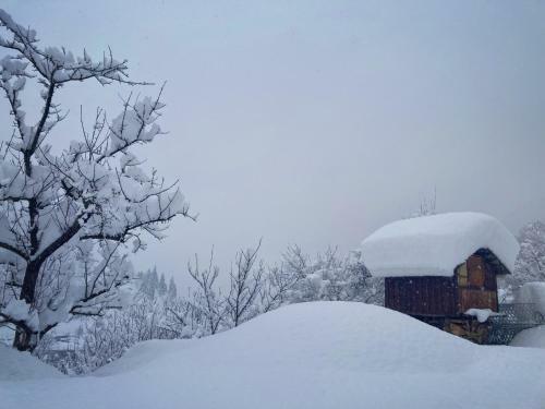 ???????? ???? ???????? - Lentekhi Mountain Inn
