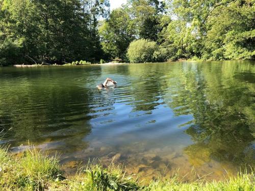 Maison Au Bord De L?eau D?un C�ramiste