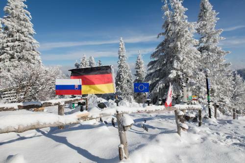 Apartament Szyndzielnia