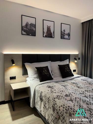 Apartamenty Szyndzielnia