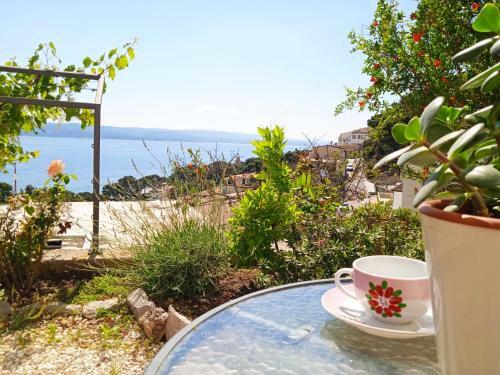 Apartamento Studio Katara Brela