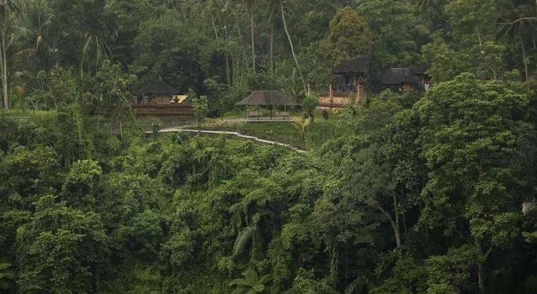 Hotel Alila Ubud